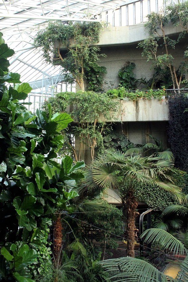 Biophilic Brutalism