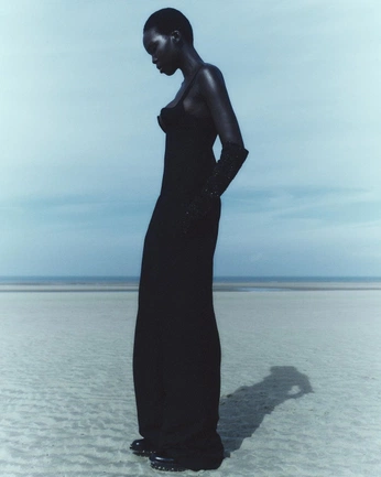 A cover of "BIJIN" cluster. The owner is lexiqvn. The cluster consists of 15 elements.