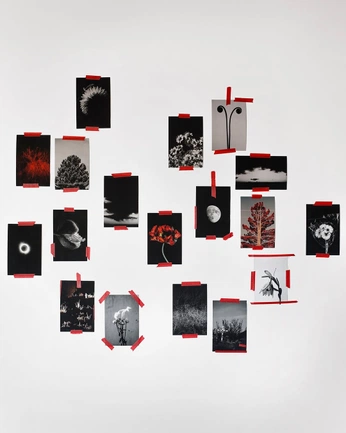 A cover of "marketing" cluster. The owner is samstoof. The cluster consists of 12 elements.