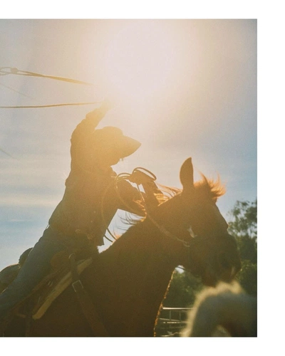 An Instagram  post added on Mar 20, 2024. The author is @markgriffinchampion. May present: silhouette, horse, sky, dog, hat.