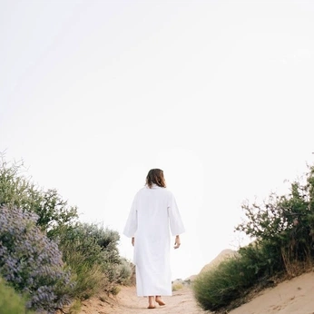 A cover of "Patience in Adversity" cluster. The owner is teganbailey. The cluster consists of 13 elements.