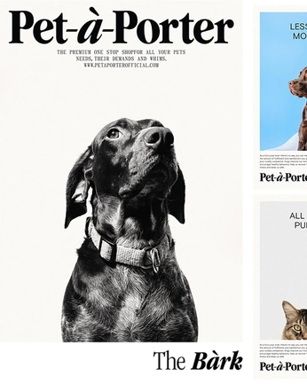 A cover of "pet sitter" cluster. The owner is delirio. The cluster consists of 13 elements.