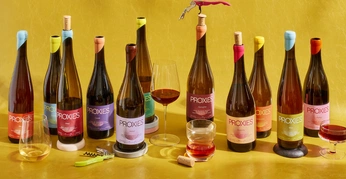 A cover of "shopify" cluster. The owner is perruche. The cluster consists of 2 elements.