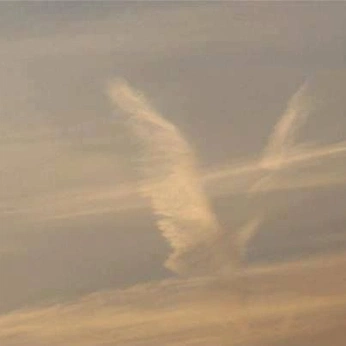 A cover of "2222" cluster. The owner is dewii111. The cluster consists of 25 elements.