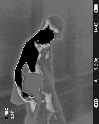 A cover of "inverted" cluster. The owner is olgalo. The cluster consists of 27 elements.