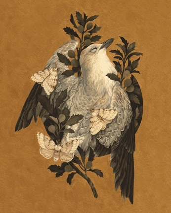 A cover of "illustrations old school" cluster. The owner is dossless. The cluster consists of 1 element.