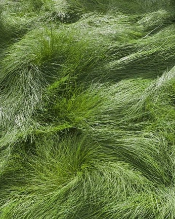 A cover of "Materials" cluster. The owner is aileensmiley. The cluster consists of 40 elements.