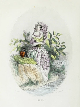 Lilac