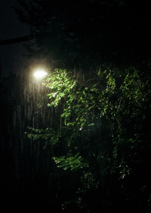 Jonathan Biljardt avatar