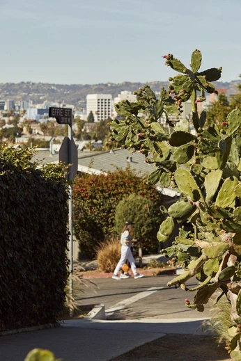 A cover of "Neighborhood Walk" cluster. The owner is jakebelmonte. The cluster consists of 26 elements.