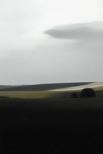 A cover of "wolke" cluster. The owner is nicoschroeder. The cluster consists of 125 elements.