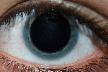 A cover of "Visionary richness" cluster. The owner is illie. The cluster consists of 5 elements.