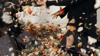 A cover of "autumn" cluster. The owner is raham17. The cluster consists of 10 elements.