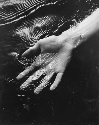 A cover of "photography" cluster. The owner is sofiatrevino. The cluster consists of 28 elements.