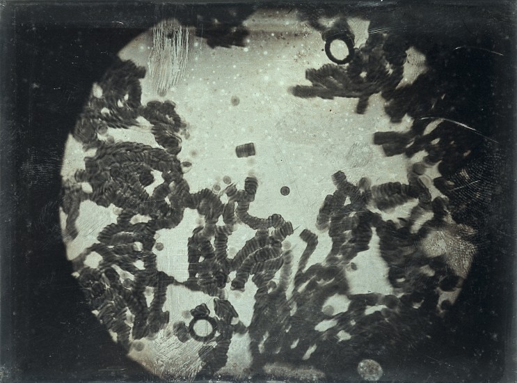 An image added by cosmos on Jul 11, 2024. May present: monochrome.