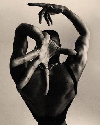 A cover of "Photography" cluster. The owner is nikolajtrane. The cluster consists of 1 element.