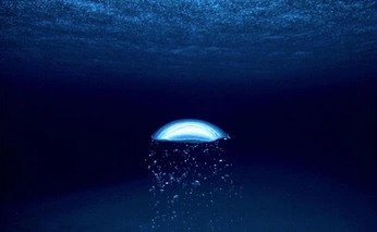 A cover of "DOP" cluster. The owner is lentesymentes. The cluster consists of 17 elements.