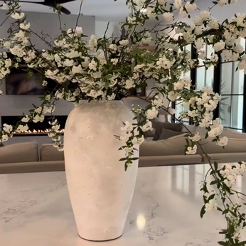 A cover of "Aesthetic 💻🌿" cluster. The owner is oliveandore. The cluster consists of 62 elements.