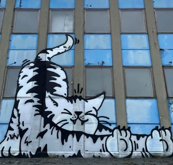 A cover of "Creizi Car" cluster. The owner is xo.richeese. The cluster consists of 1 element.