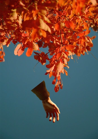 A cover of "outono" cluster. The owner is tranqu1lona. The cluster consists of 15 elements.