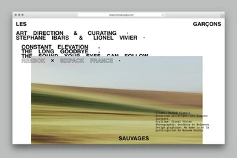 A cover of "websites" cluster. The owner is squidnip. The cluster consists of 72 elements.