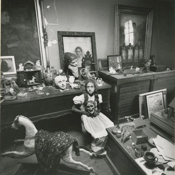 A cover of "Birds, Orphans & Fools" cluster. The owner is ivanaroo. The cluster consists of 334 elements.