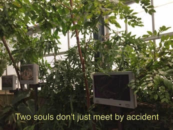 A cover of "tumblr" cluster. The owner is cosmicmuse. The cluster consists of 31 elements.