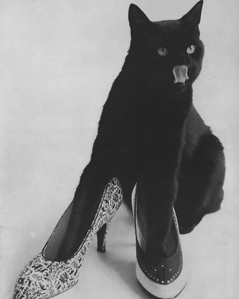 A cover of "la femme" cluster. The owner is veroberro. The cluster consists of 32 elements.