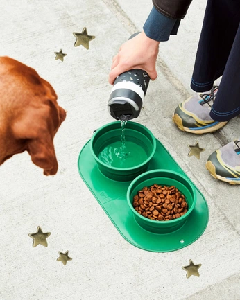 A cover of "CATBOOK HOLIDAY 2025" cluster. The owner is 666abigail. The cluster consists of 60 elements.