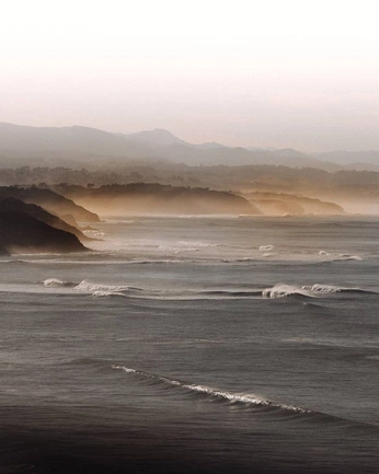 A cover of "🤍" cluster. The owner is lillygrace777. The cluster consists of 1 element.