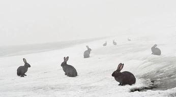 A cover of "Untitle" cluster. The owner is mia.rey. The cluster consists of 167 elements.