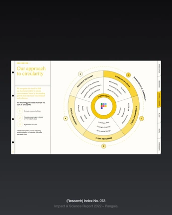 A cover of "infographic" cluster. The owner is diyall. The cluster consists of 8 elements.