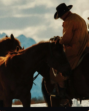 A cover of "Cowboys" cluster. The owner is abaqro. The cluster consists of 4 elements.