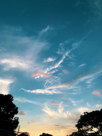 A cover of "Photography" cluster. The owner is senormike. The cluster consists of 2 elements.