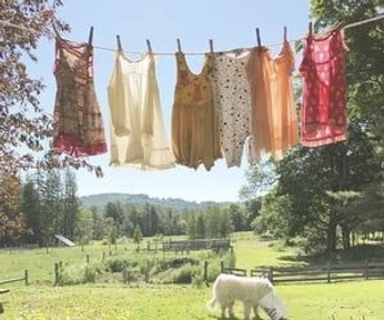 A cover of "Petalwood Spring" cluster. The owner is shayester1. The cluster consists of 51 elements.