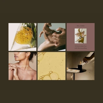 A cover of "The Shire" cluster. The owner is mitchcapurso. The cluster consists of 139 elements.