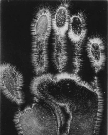 A cover of "culture house" cluster. The owner is kassmarie. The cluster consists of 97 elements.