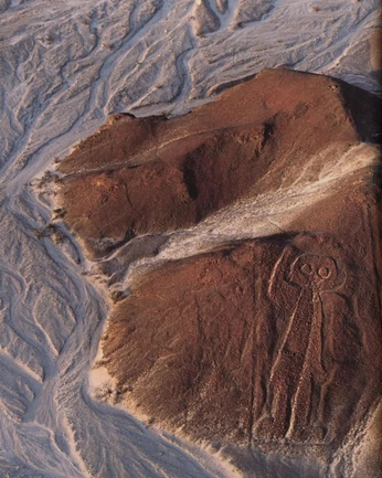 A cover of "PFE prehistoric" cluster. The owner is yyoohh. The cluster consists of 18 elements.