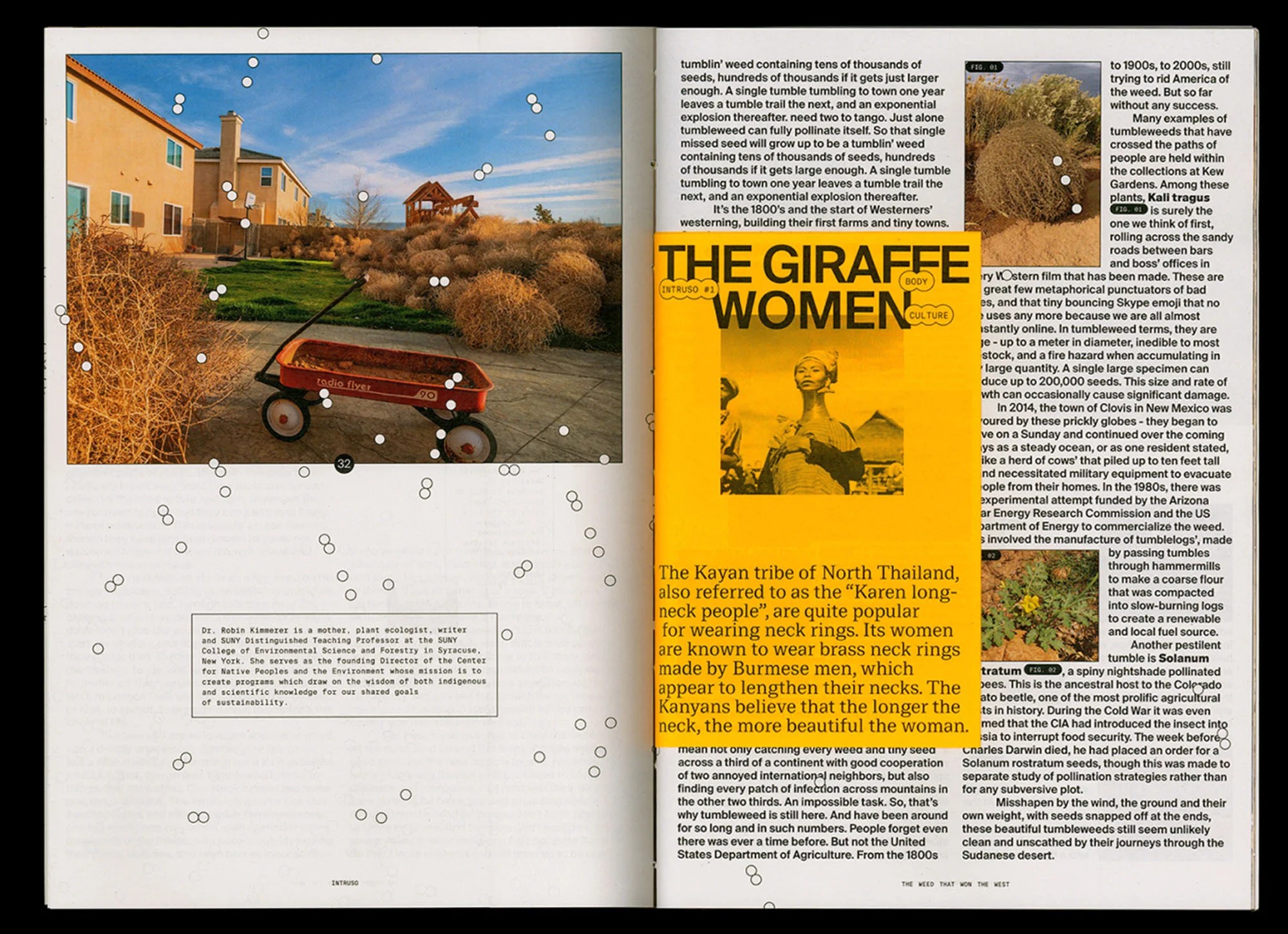 A spread from ‘The Weed That Won The West,’ the first issue of Intruso by Chiara Chiavazza and Trinidad Tamayo Marambio.
