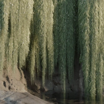 A cover of "Mystical" cluster. The owner is sheepparsley. The cluster consists of 5 elements.