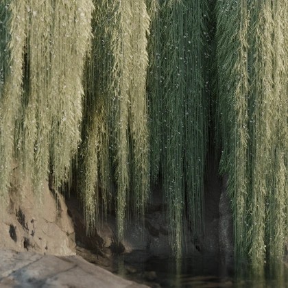 made by the trees