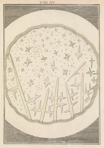 A cover of "wed.mb.3" cluster. The owner is lunerle. The cluster consists of 7 elements.