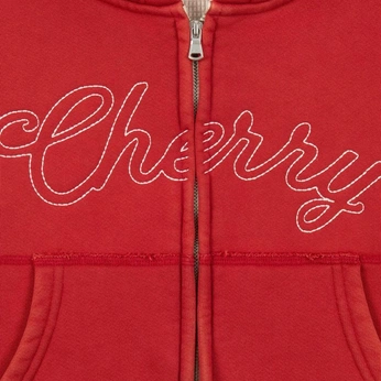 A cover of "Naomi Scott - Cherry" cluster. The owner is michelle.url. The cluster description is "Naomi Scott - Cherry Music Video Visuals". The cluster consists of 23 elements.