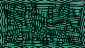 A cover of "Software" cluster. The owner is wfbrennan. The cluster consists of 1 element.