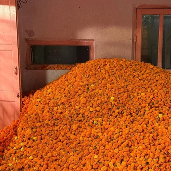 A cover of "Desi magic" cluster. The owner is almostmeaningful. The cluster consists of 101 elements.