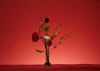 A cover of "thesis" cluster. The owner is stubfx. The cluster consists of 32 elements.