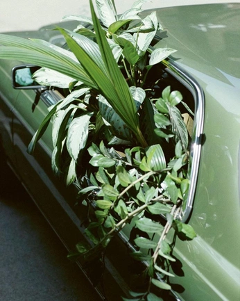 A cover of "Urban Jungle entropia" cluster. The owner is makejani. The cluster consists of 19 elements.