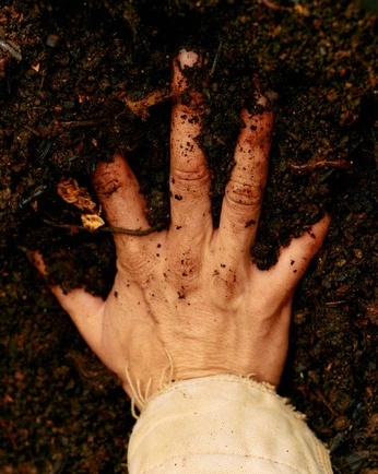 A cover of "Themis Toclea" cluster. The owner is kris.pardus. The cluster consists of 19 elements.