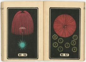illustration of Japanese firework