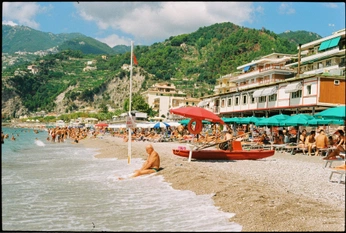 A cover of "dandelion" cluster. The owner is cristabelamelia. The cluster consists of 36 elements.